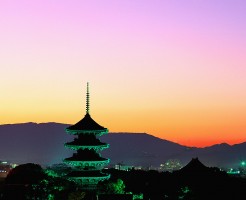 Toji Temple Glowing at Evening